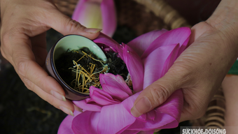 Entdecken Sie den Herstellungsprozess des teuersten Lotustees in Hanoi