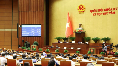 Passage of the Amended Cultural Heritage Law: Strengthening the Legal Corridor for Protecting National Heritage