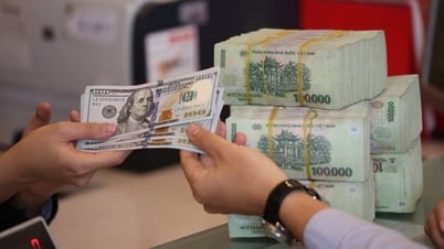外国為替レート、6月19日のUSD/VND為替レート：米ドルは大幅に上昇、金利に関する憶測はまだ解決していない