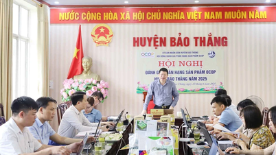 Bao Thang: 10 more products meet 3-star OCOP standards