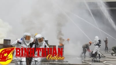 Responder a incidentes con residuos según los cuatro principios in situ y los tres principios de preparación