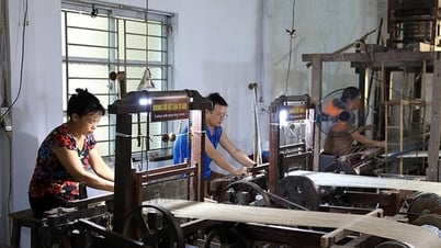 Developing OCOP products from specialized areas of cooperatives:
