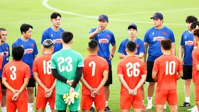 Which goal to choose for Vietnamese football?