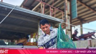 Low output, Xuan Hoi fishermen are not interested in staying at sea