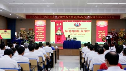 Quang Nam Power Company Party Congress: "Solidarity - Discipline - Breakthrough - Development"