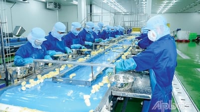 ティエンザン省：予算収入からの明るい兆候