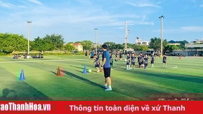Nachwuchsförderung im kommunalen Fußball
