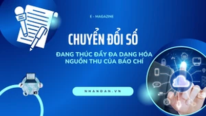 ការផ្លាស់ប្តូរឌីជីថលកំពុងជំរុញការធ្វើពិពិធកម្មប្រភពចំណូលកាសែត