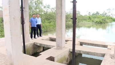 Proactively repair the dike system